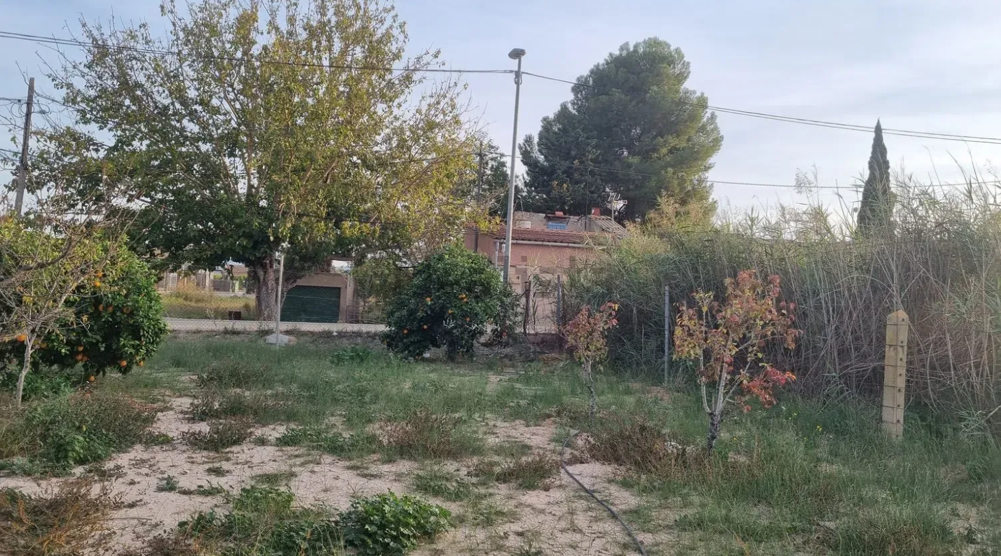 finca1