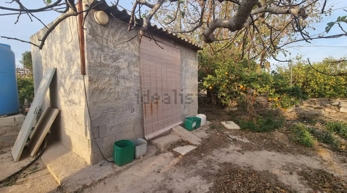 finca2