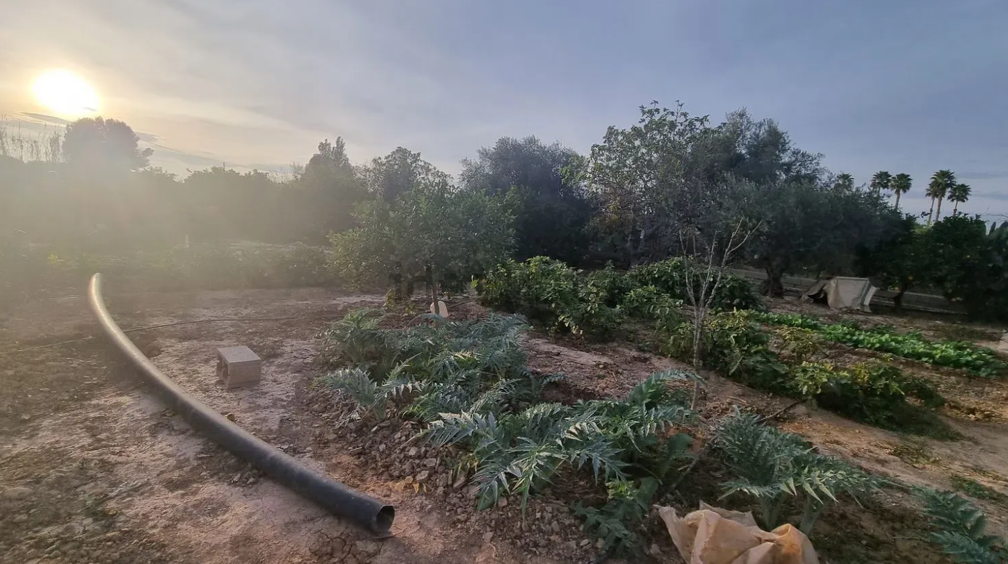 finca4