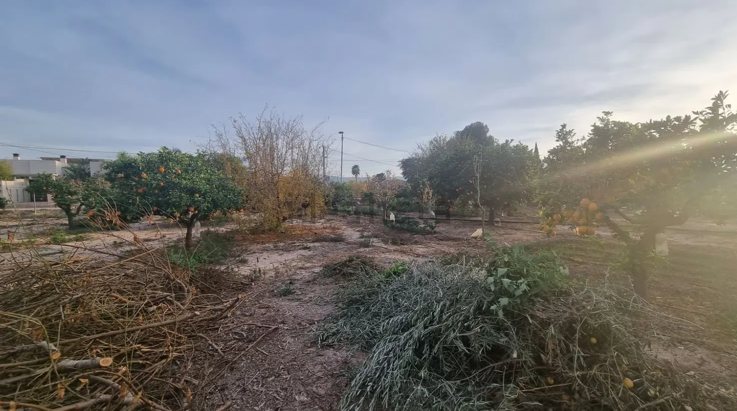 finca5