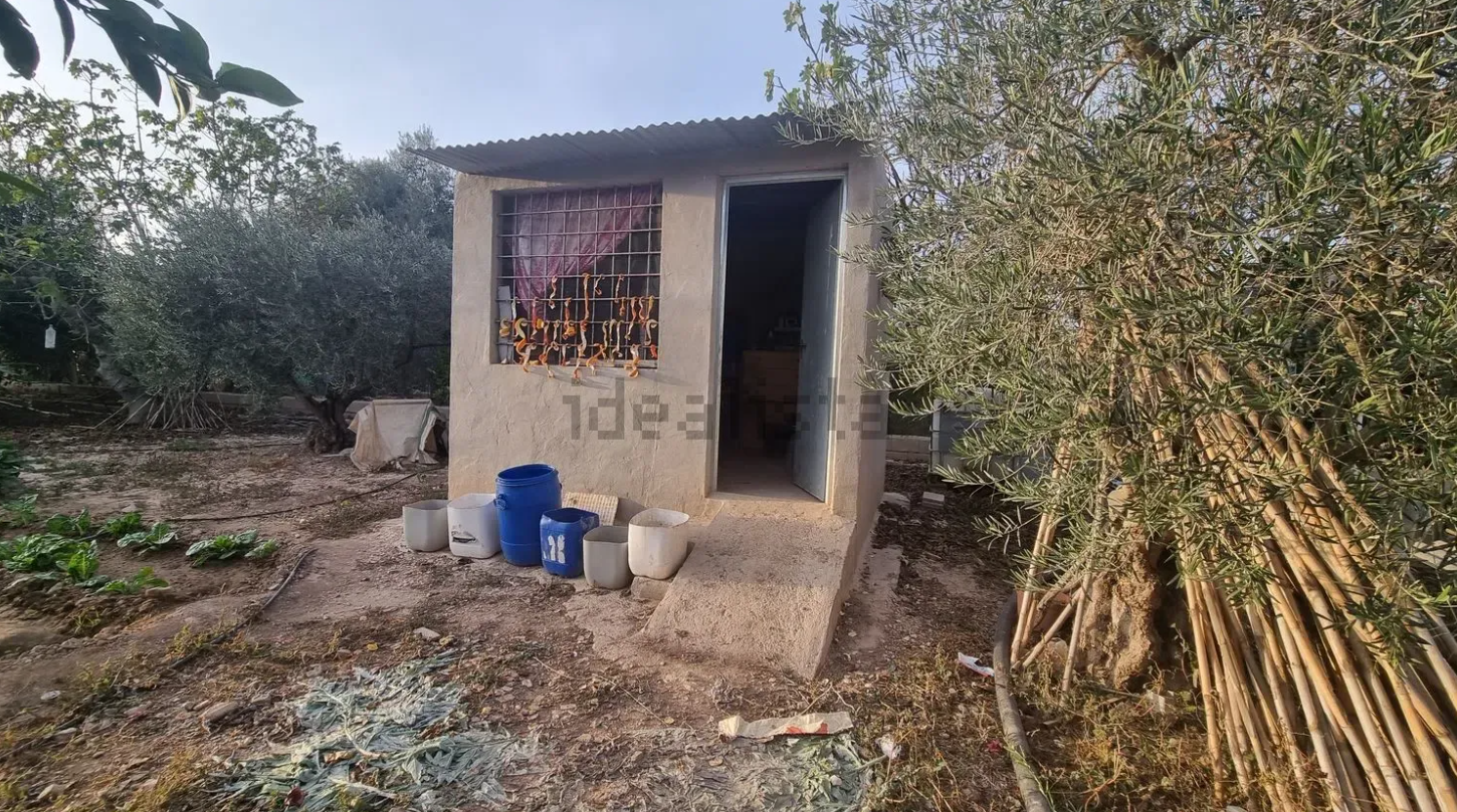 finca6