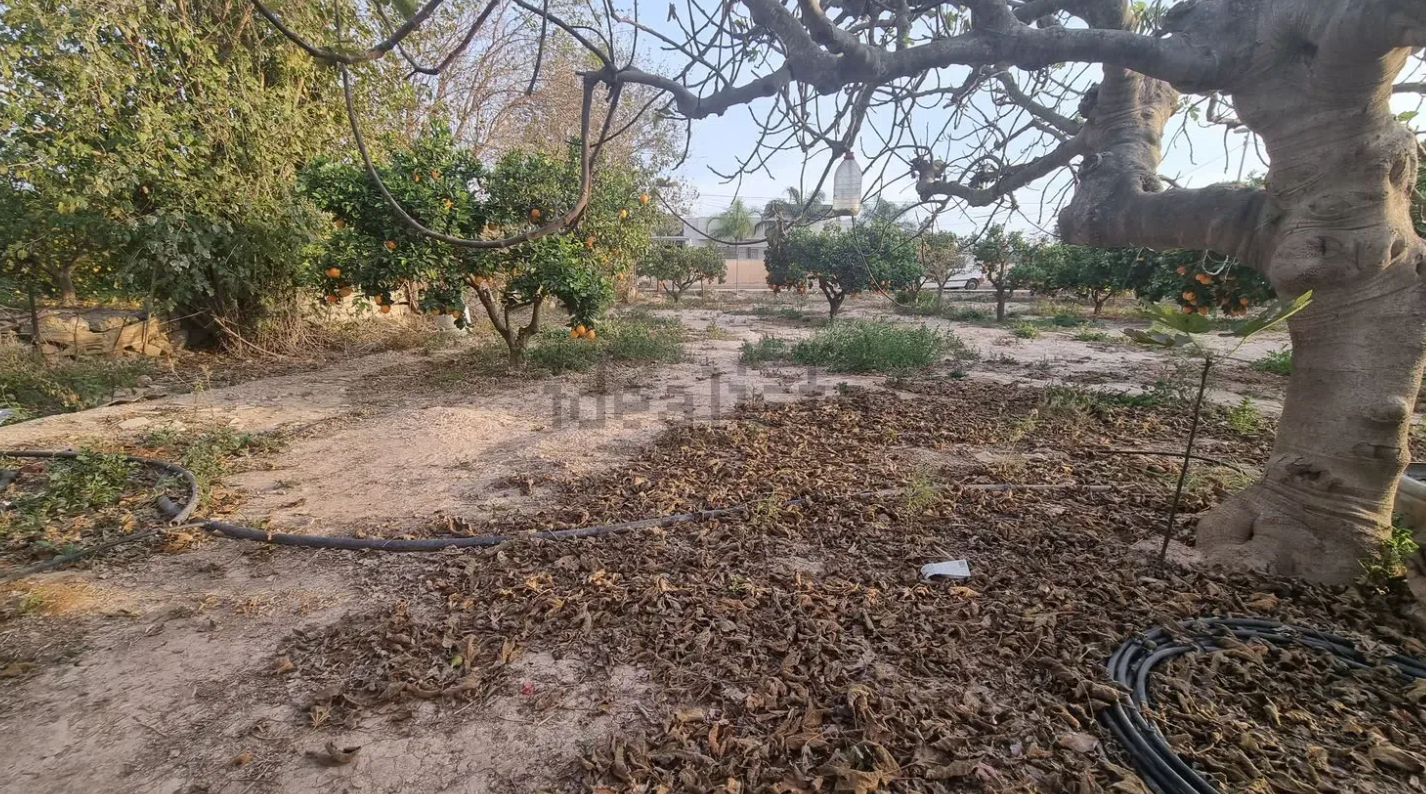 finca8