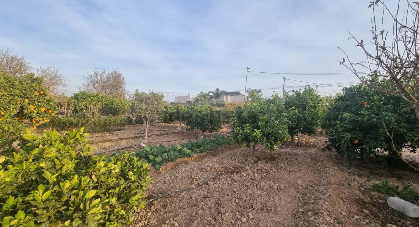 finca9